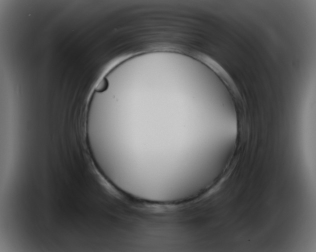 X0000086071244200704132033
