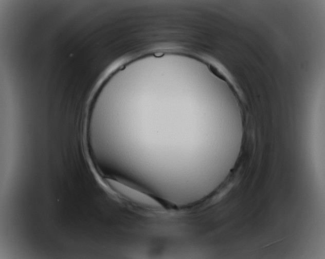 X0000086071245200704132033