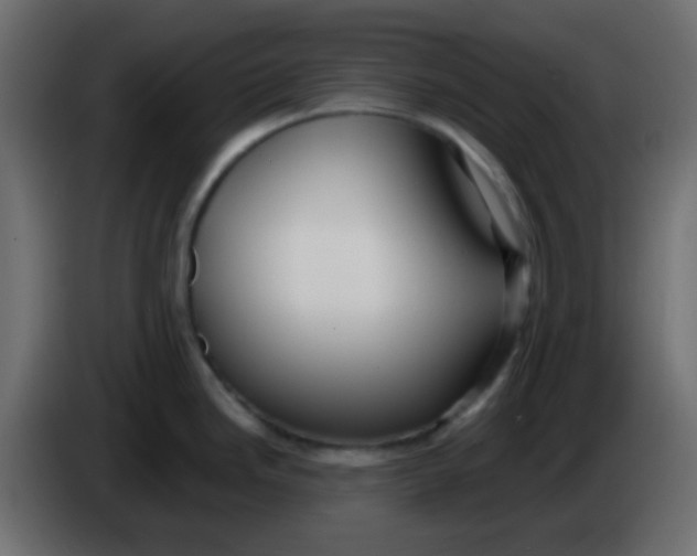 X0000086071246200704132033