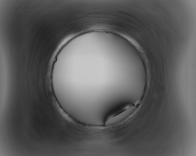 X0000086071248200704132033