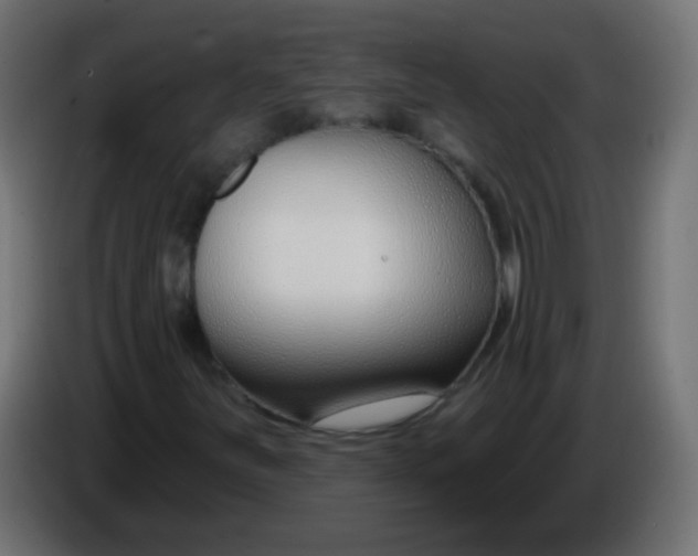 X0000086071251200704132032