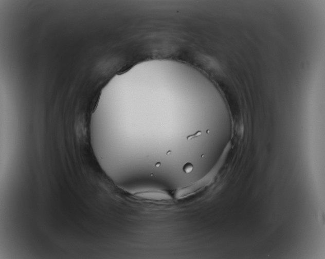 X0000086071252200704132032