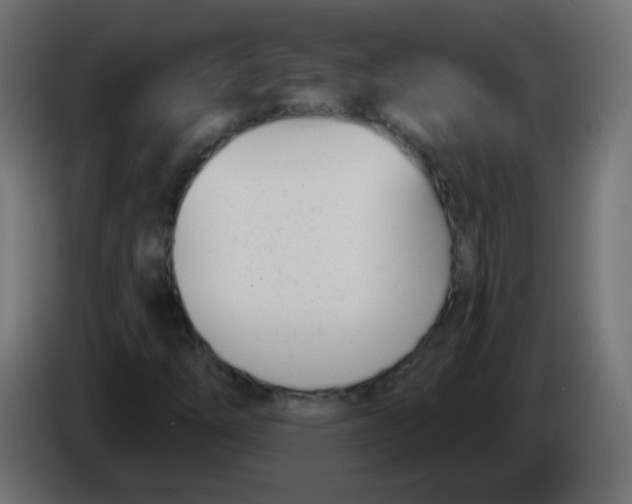 X0000086071254200704132032