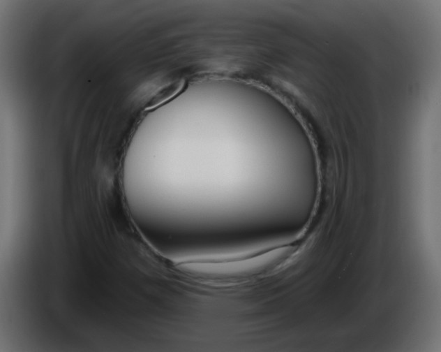 X0000086071257200704132032