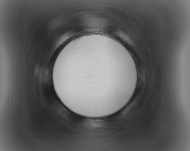 X0000086071258200704132032