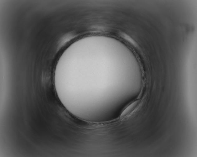 X0000086071259200704132032