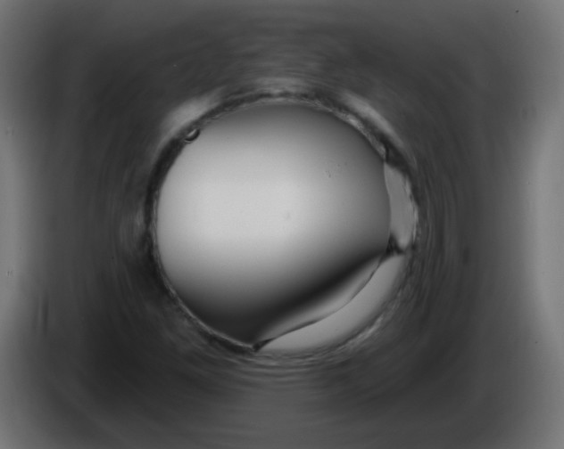 X0000086071261200704132032