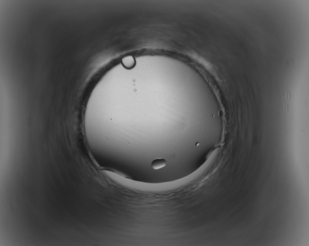 X0000086071263200704132032
