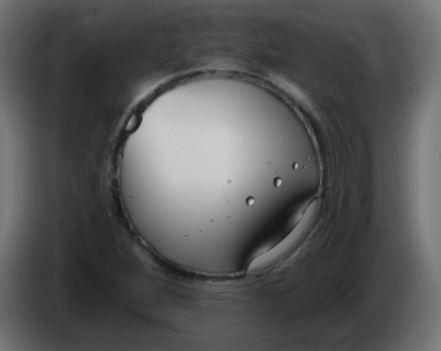 X0000086071264200704132032