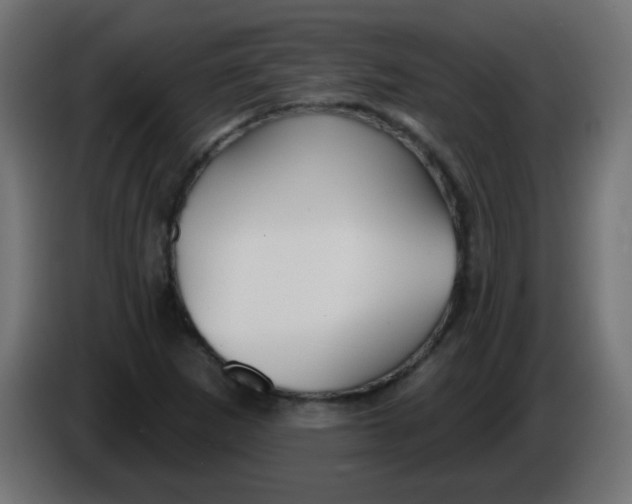 X0000086071265200704132032