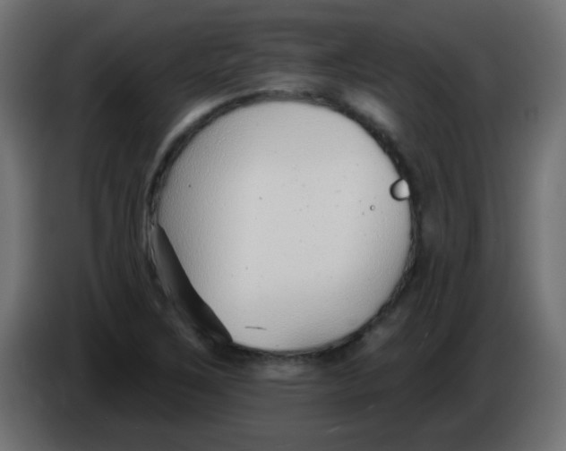 X0000086071267200704132032