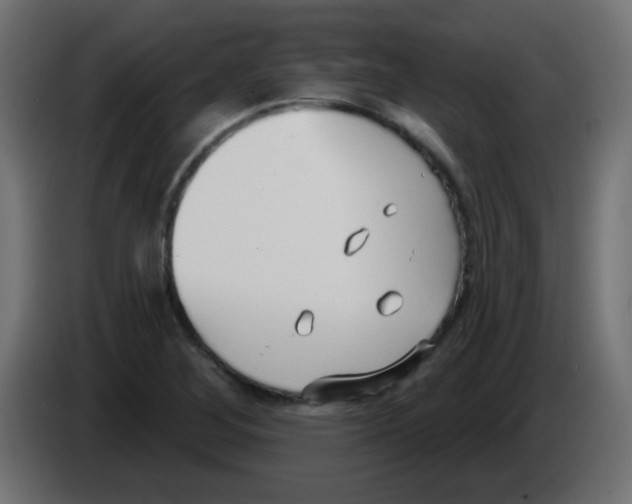 X0000086071268200704132032