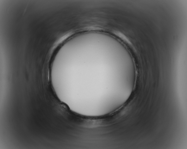 X0000086071269200704132032
