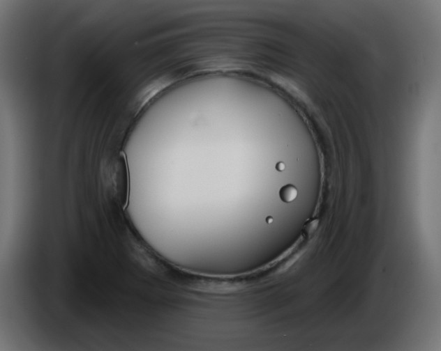 X0000086071273200704132032