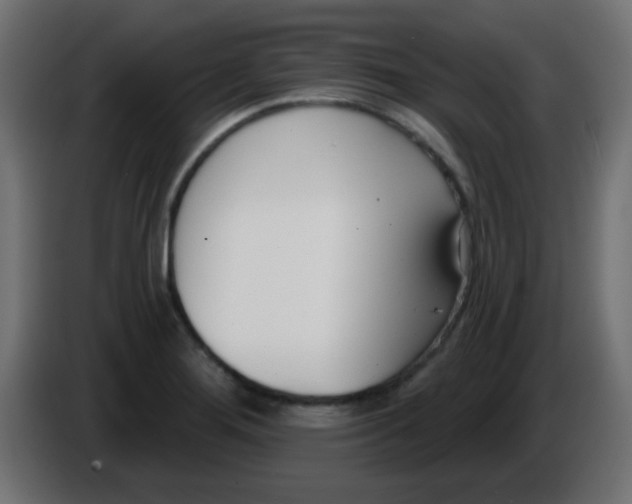 X0000086071276200704132032