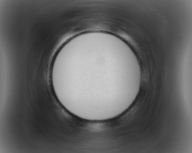 X0000086071278200704132032