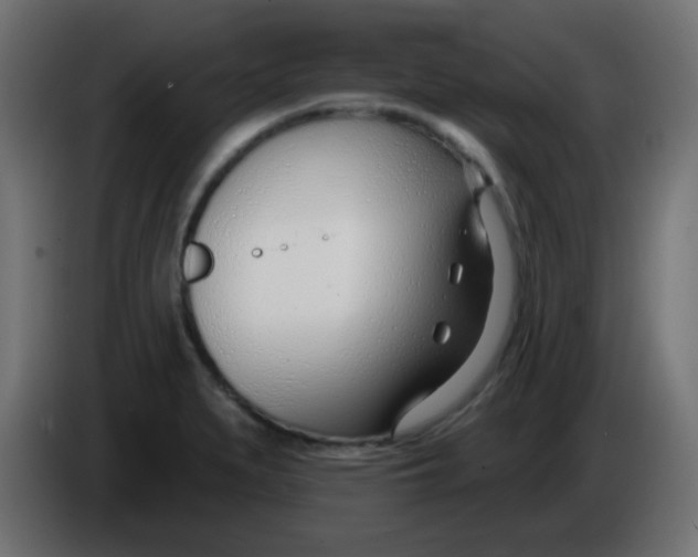X0000086071279200704132032