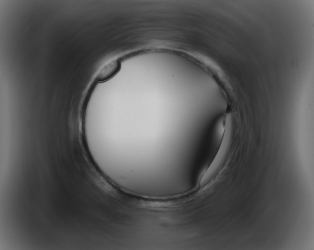 X0000086071280200704132032