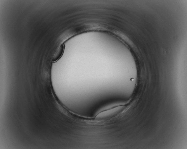 X0000086071281200704132032