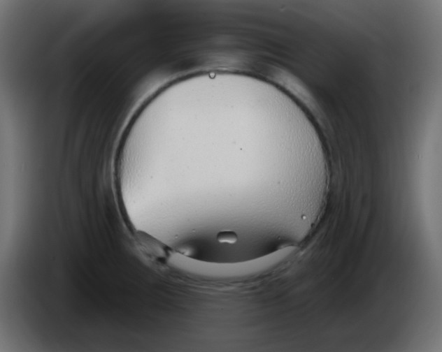 X0000086071283200704132032