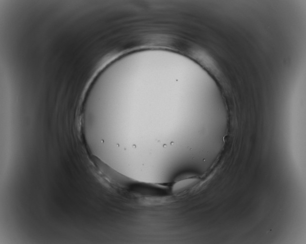 X0000086071284200704132032