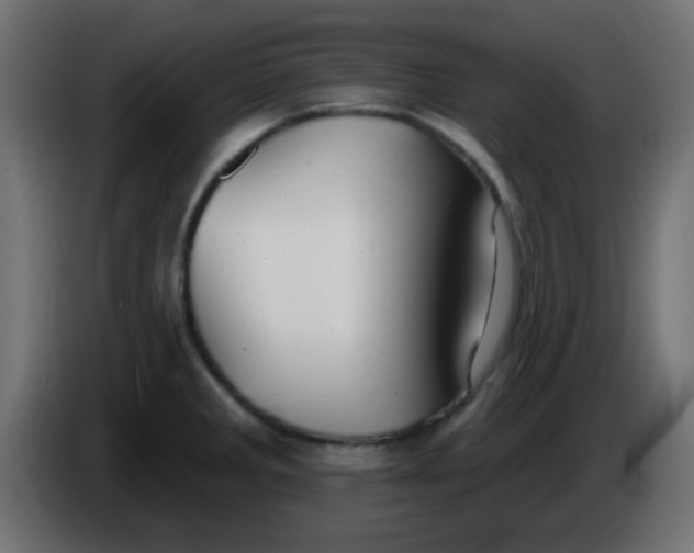 X0000086071285200704132032