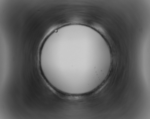 X0000086071286200704132032