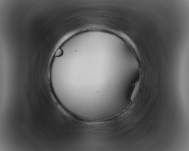 X0000086071287200704132032