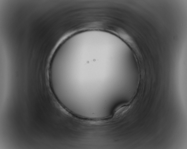 X0000086071288200704132032