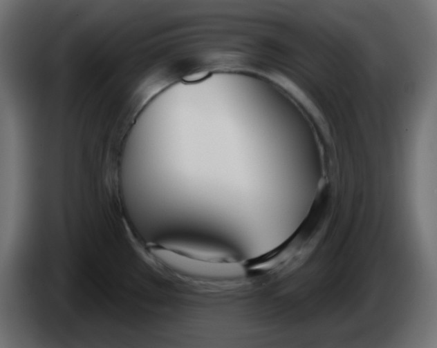 X0000086071289200704132032