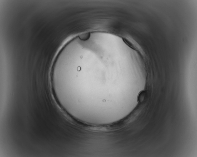 X0000086071291200704132032