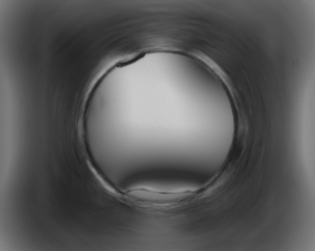 X0000086071293200704132032