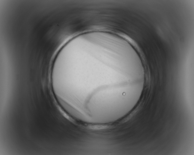X0000086071294200704132032