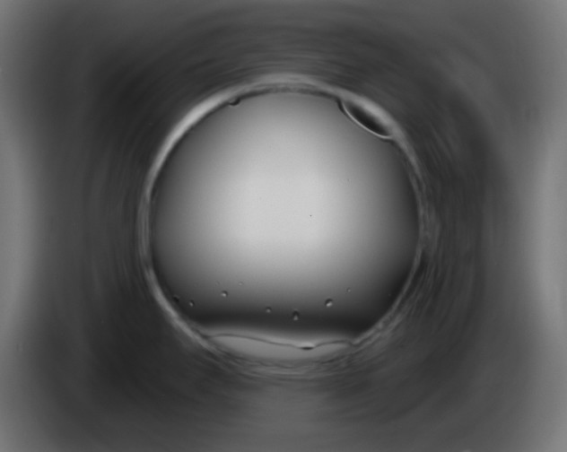 X0000086071295200704132032