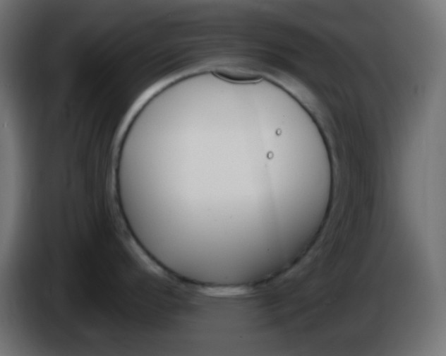 X0000086071296200704132032