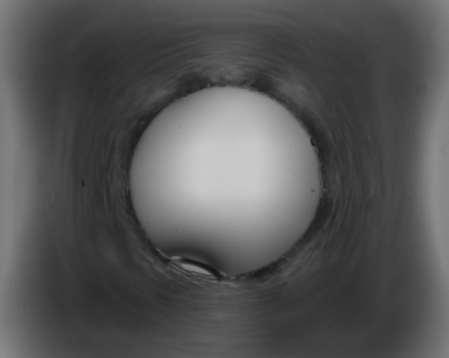 X0000086071297200704132031