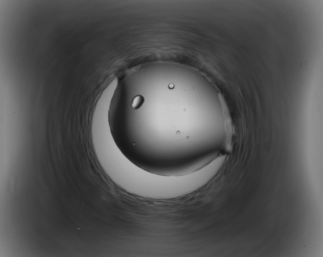 X0000086071298200704132031