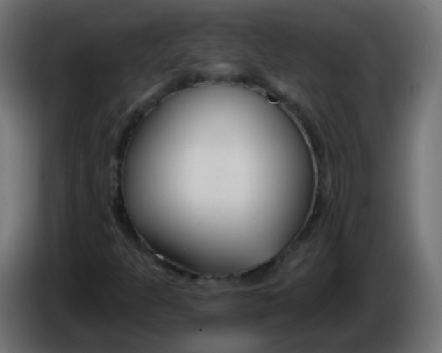 X0000086071301200704132031