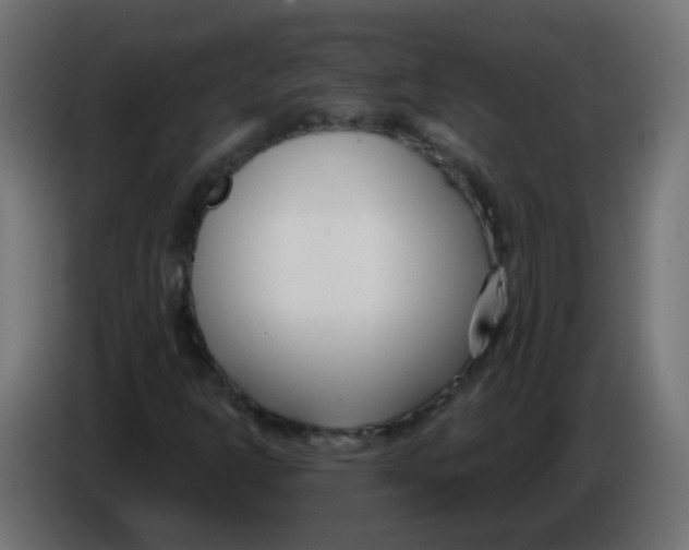 X0000086071302200704132031