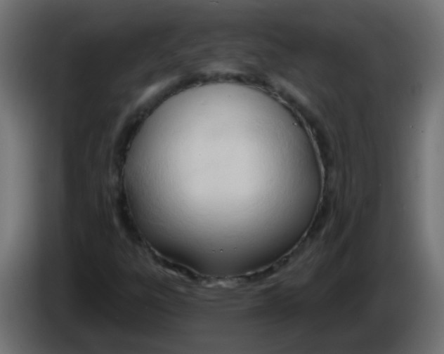 X0000086071303200704132031