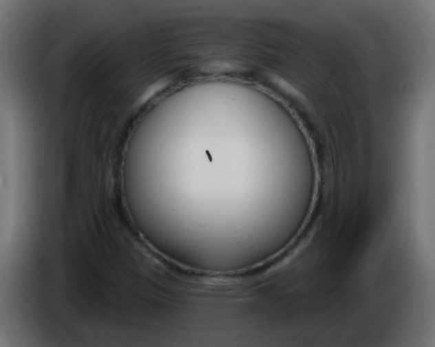 X0000086071305200704132031