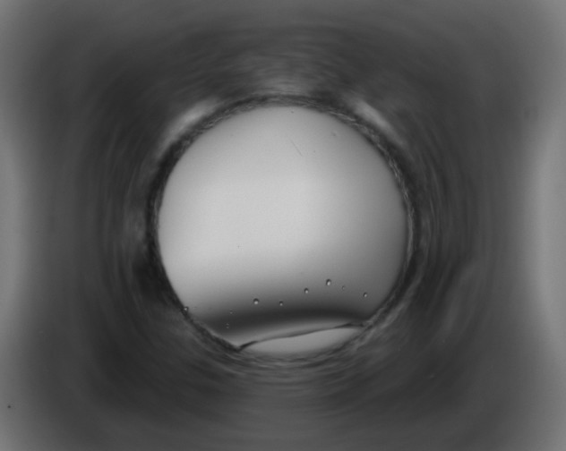 X0000086071307200704132031