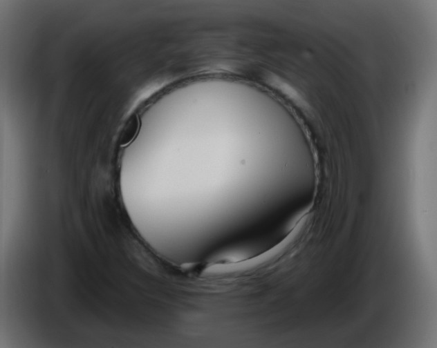 X0000086071308200704132031