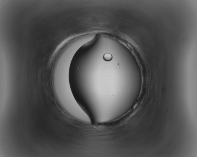 X0000086071310200704132031