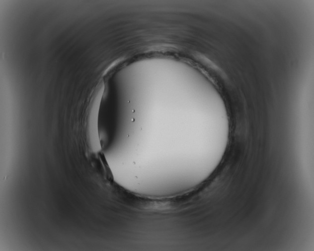 X0000086071313200704132031