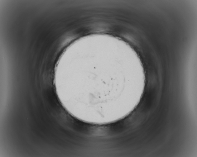 X0000086071314200704132031