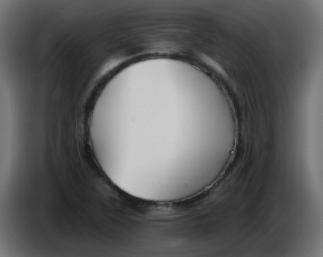 X0000086071315200704132031