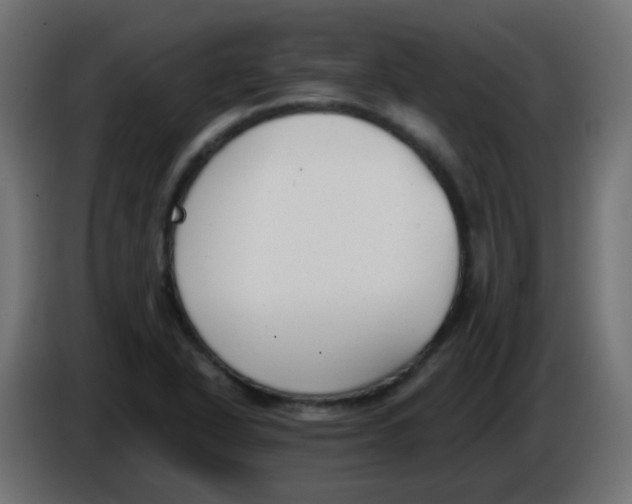 X0000086071318200704132031