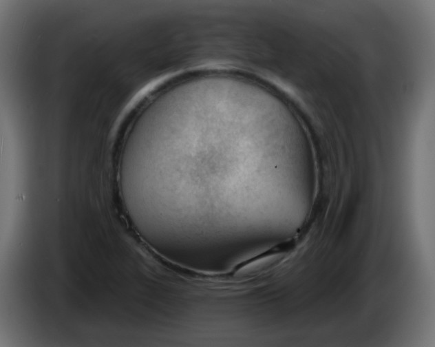 X0000086071319200704132031