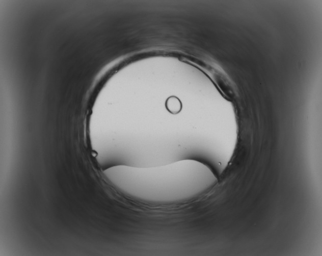 X0000086071320200704132031